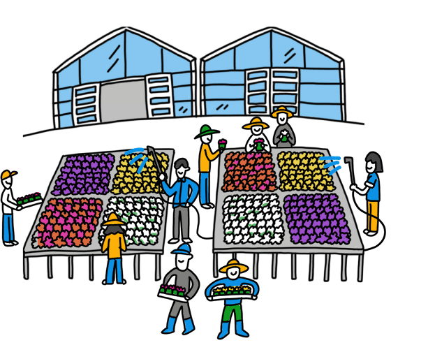 イラスト